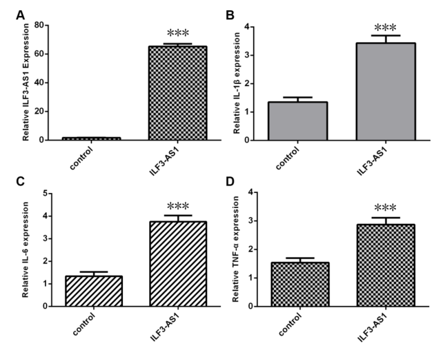 載體構(gòu)建服務(wù)-客戶文獻(xiàn)-輝駿生物.png 載體構(gòu)建服務(wù)-客戶文獻(xiàn)-輝駿生物.png