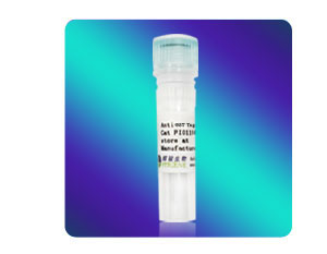 [FI01109] Anti-GST小鼠單克隆抗體