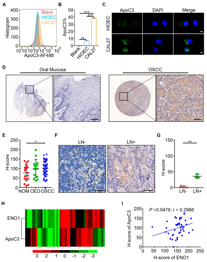 1686887873851039.jpg ijms-23-12777-g003.jpg